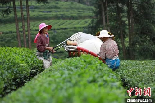外人竟是咱自己 各地隐藏农特产给你惊喜